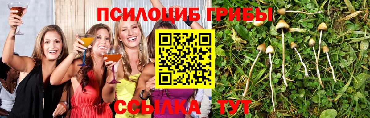 где можно купить наркотик  Вход с VPN  Волжск  Галлюциногенные грибы Magic Shrooms 