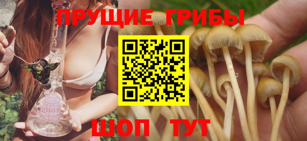 Галлюциногенные грибы GOLDEN TEACHER Волжск